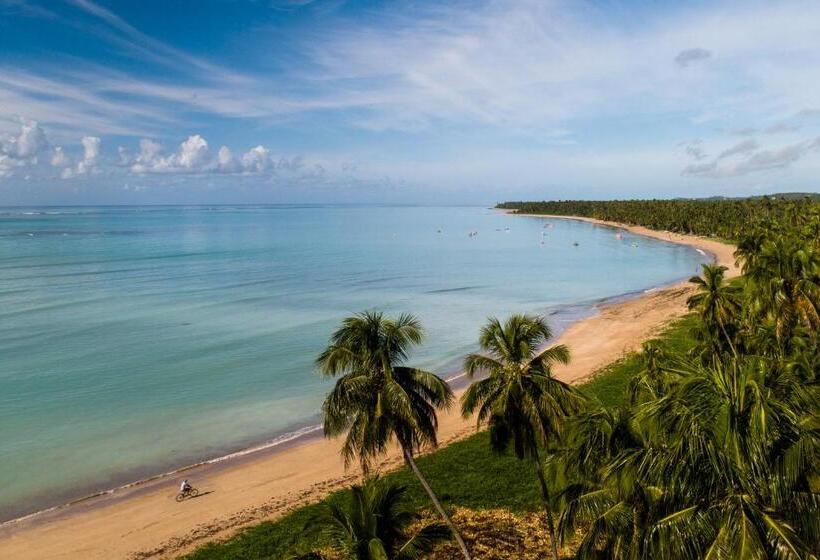 Пансион Pousada Da Amendoeira