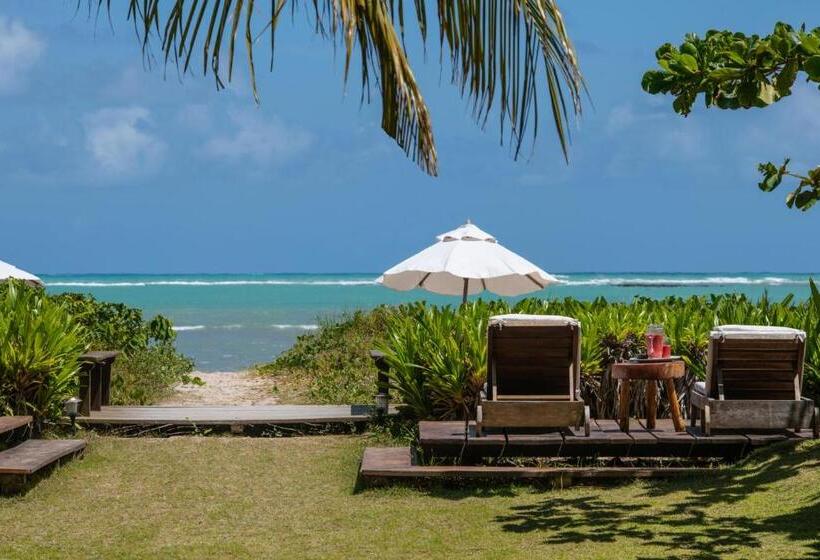 Пансион Pousada Da Amendoeira