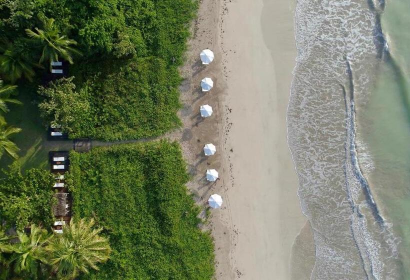 Пансион Pousada Da Amendoeira