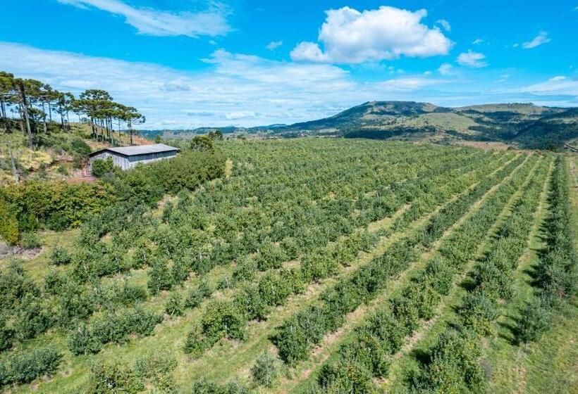 بنسيون Pousada Morro Grande