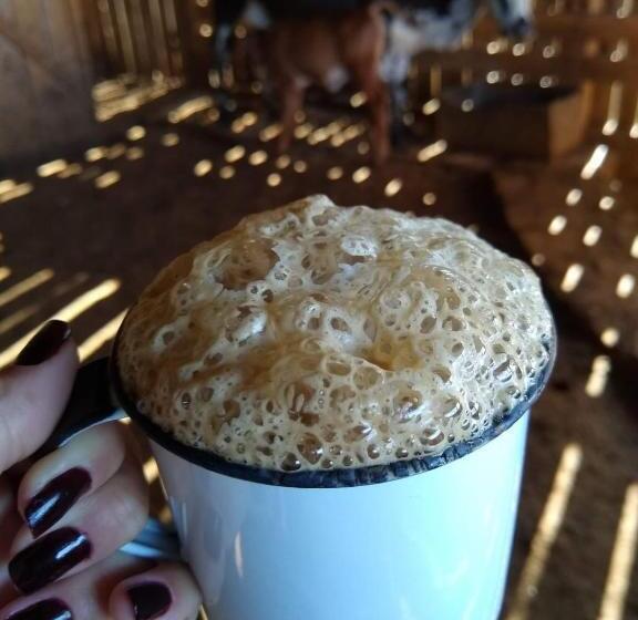 بنسيون Pousada Morro Grande