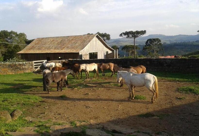 بنسيون Pousada Morro Grande