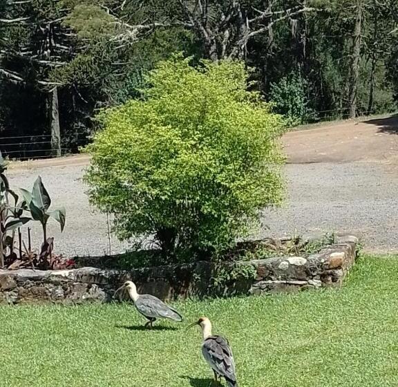 بنسيون Pousada Morro Grande