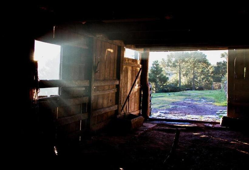 بنسيون Pousada Morro Grande