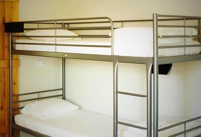 The Holy Cow Hostel & Suites