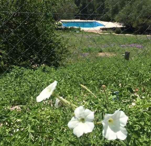 הוסטל Hosteria Rukalaf