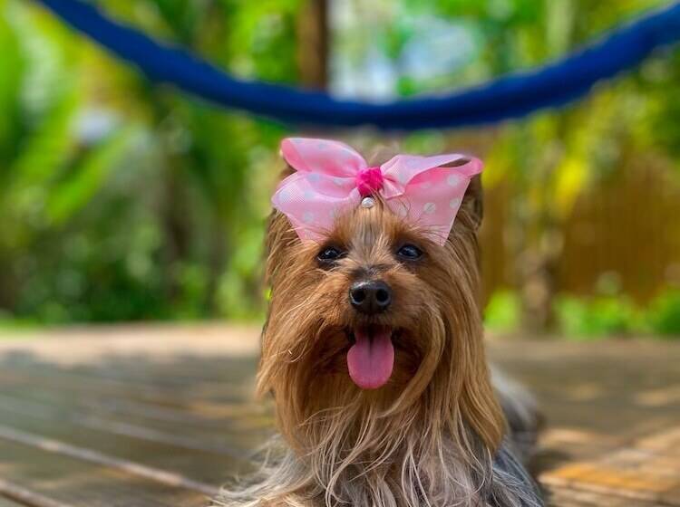 הוסטל E Pousada Tetiaroa