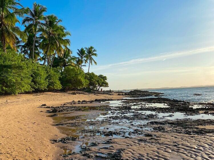 הוסטל E Pousada Tetiaroa