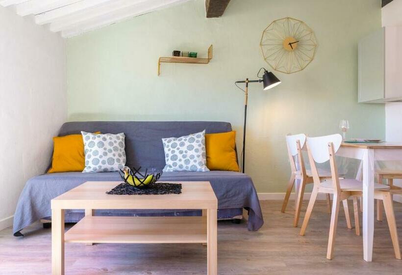 Apt Terrasse Centre Historique