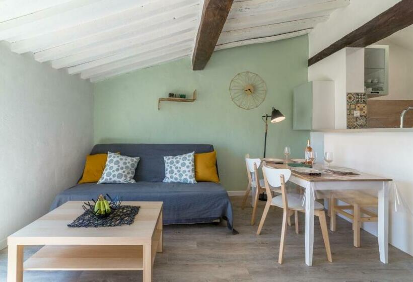 Apt Terrasse Centre Historique