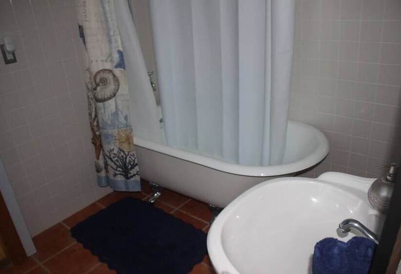 Gorgeous 3bd/2ba Vacation House In The Vineyard