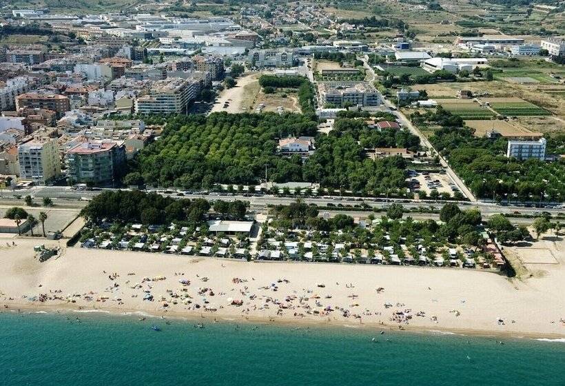 ホテル Camping Sènia Caballo De Mar