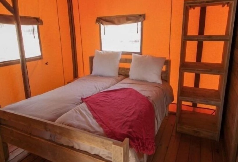 ホテル Camping Sènia Caballo De Mar