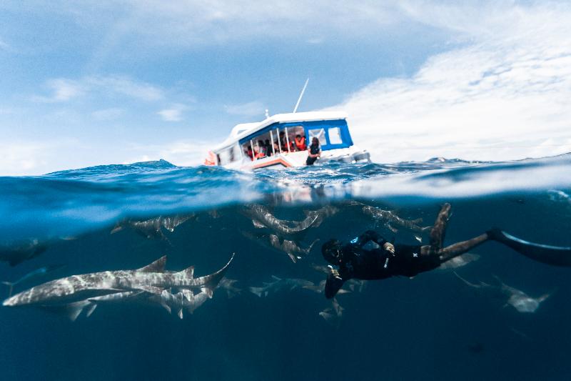 هتل Kaani Palm Beach