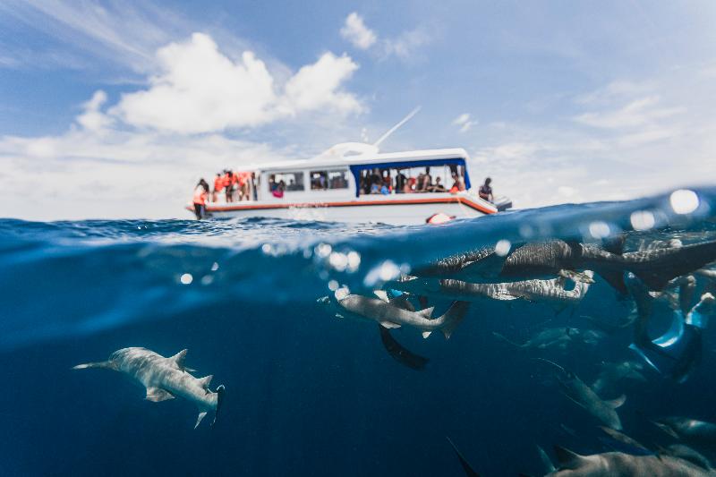 هتل Kaani Palm Beach