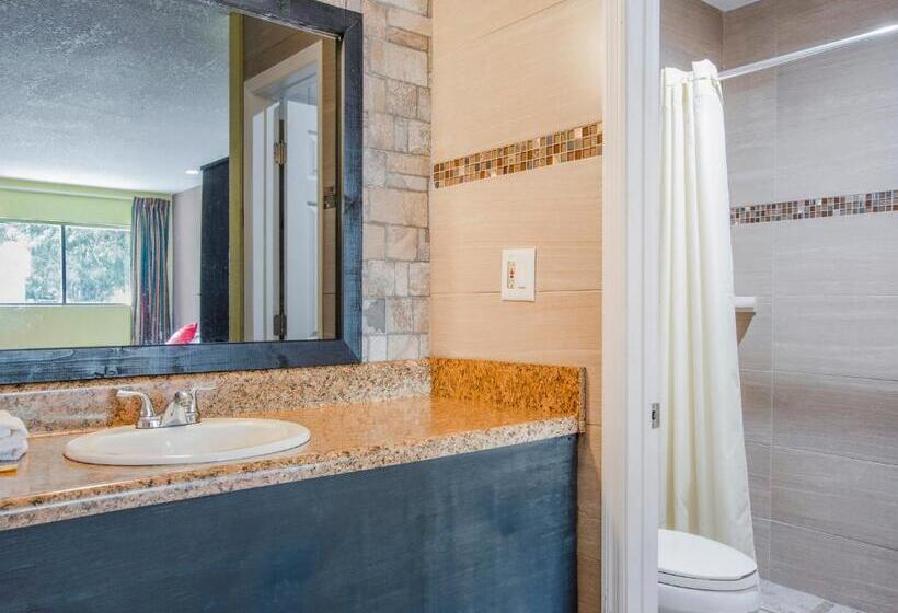 فندق Oyo Superior Budget Inn Bartow