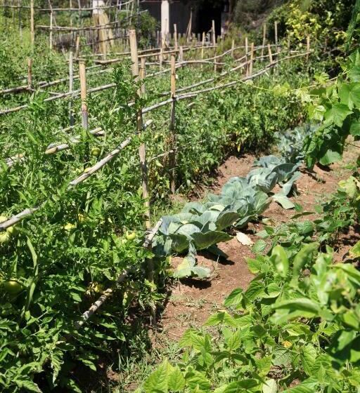 Villas Les Residences De Scaglione