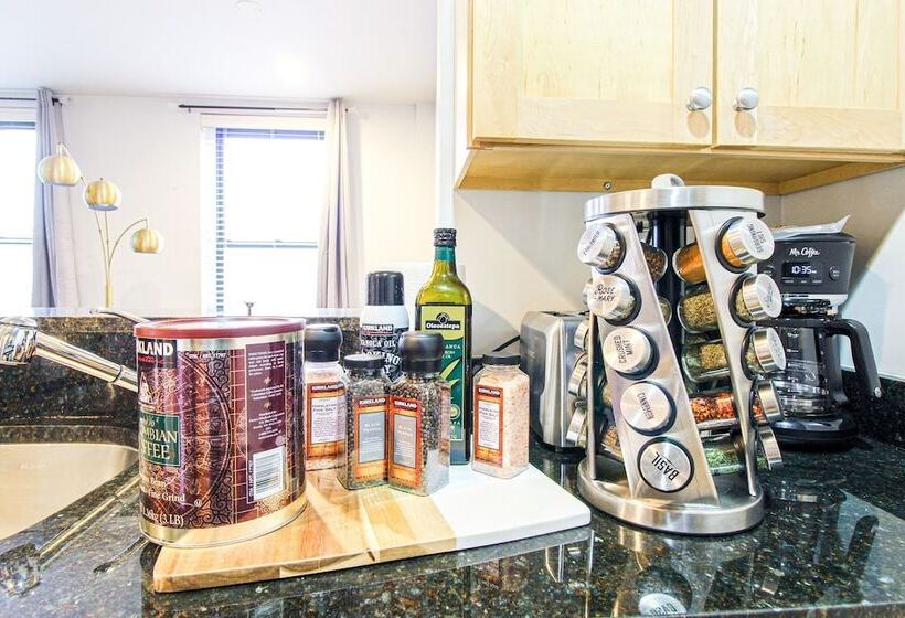 Luxury & Stylish 1br/1ba In Boston South End   Bu Medical