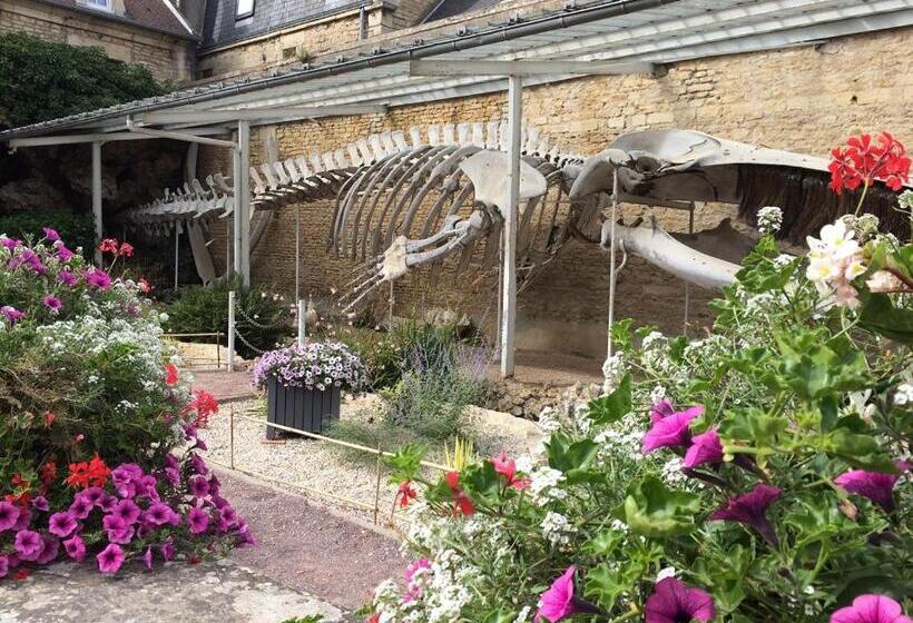 Maisonnette Avec Terrasse à 50m De La Plage