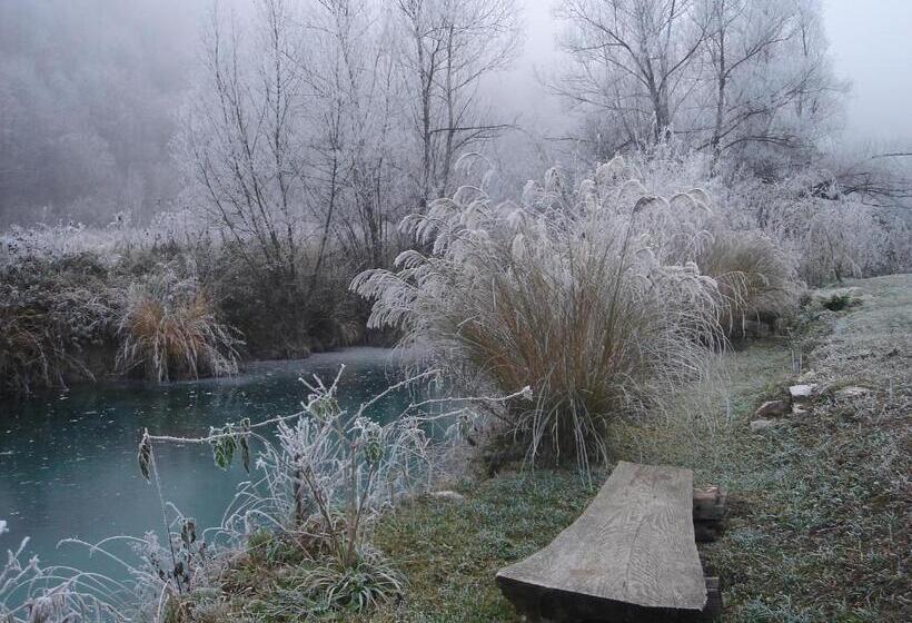 פנסיון Apartments And Rooms Kristina