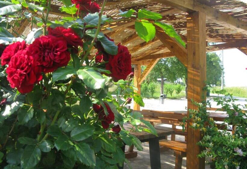 פנסיון Apartments And Rooms Kristina