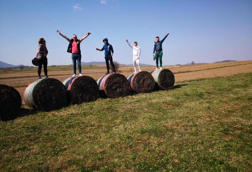 פנסיון Apartments And Rooms Kristina