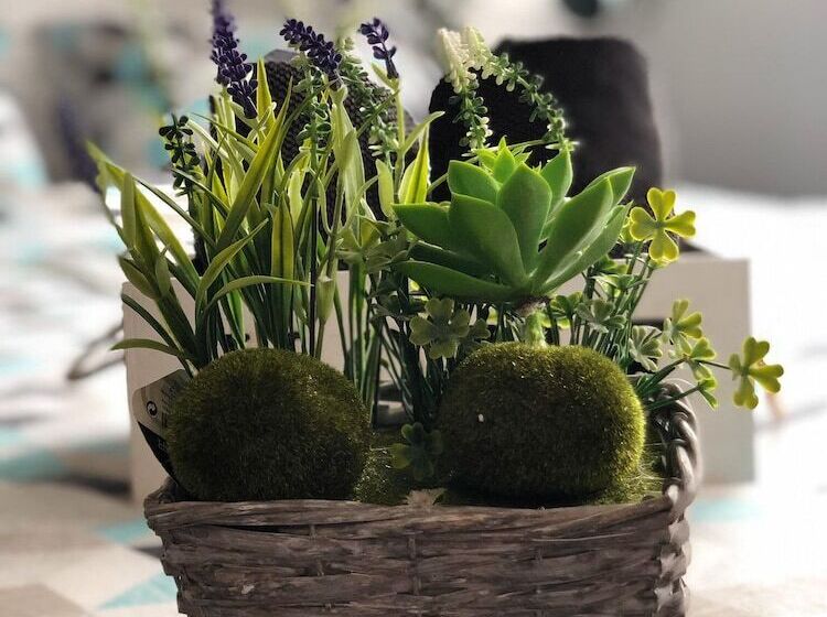 ペンション Bunga Love   Adults Only