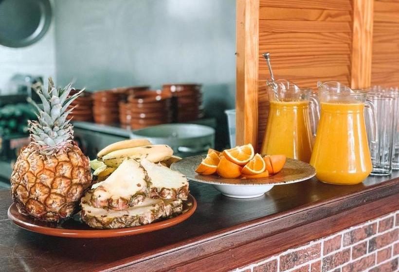 膳宿费 Casa Nova Boutique