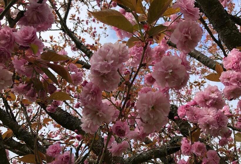 פנסיון Côté Coteau