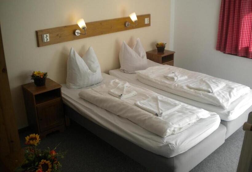 پانسیون Haus Innerwald By Châtel Reizen