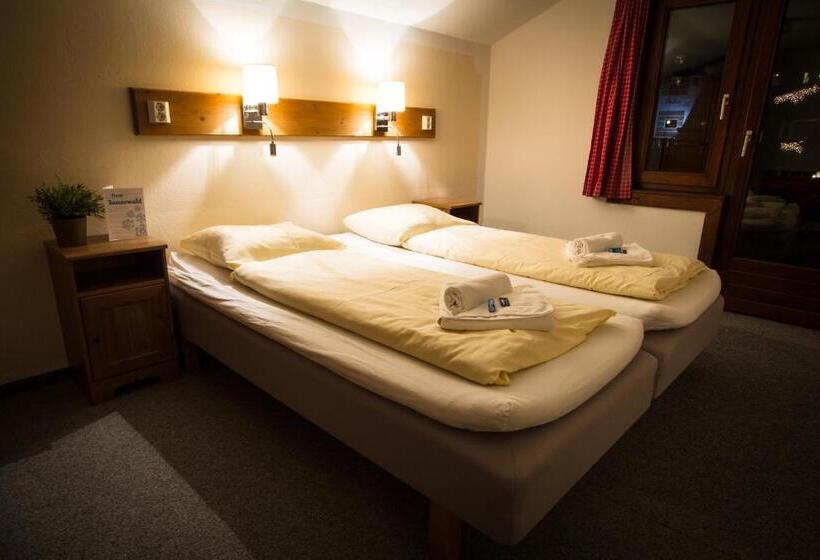 پانسیون Haus Innerwald By Châtel Reizen