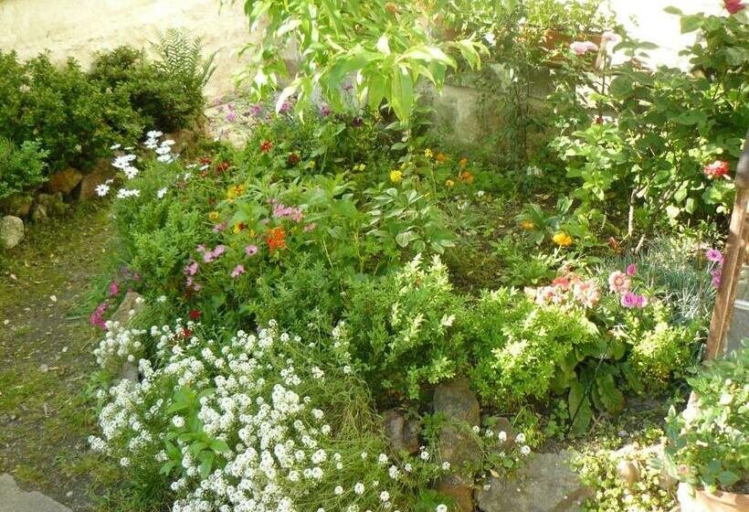 بنسيون La Maison De Saumur