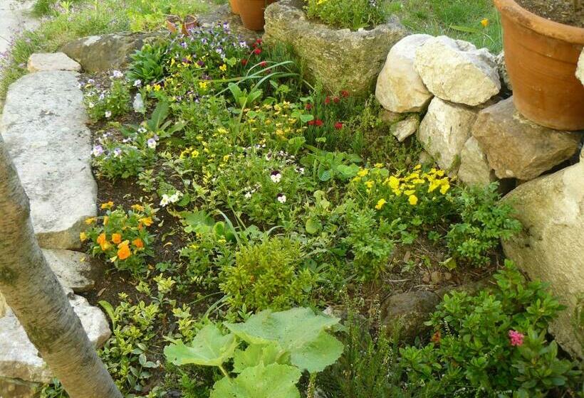 بنسيون La Maison De Saumur