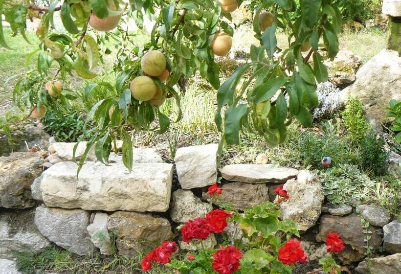 بنسيون La Maison De Saumur