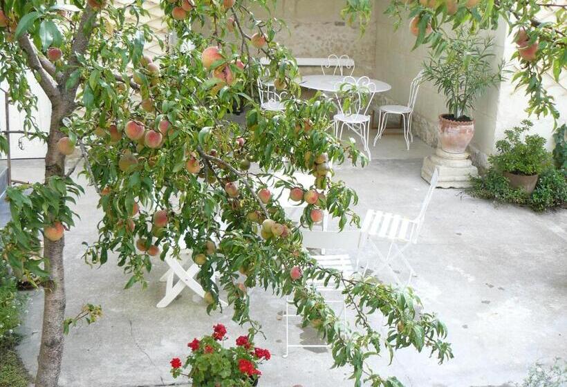 بنسيون La Maison De Saumur