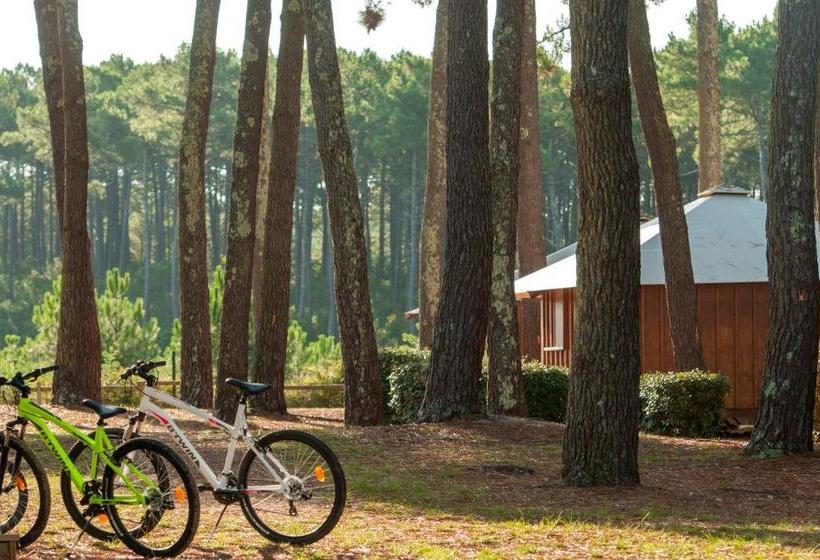 Курорт Vtf La Jaougue Soule