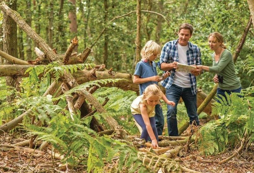 Курорт Tilford Woods Lodge Retreat