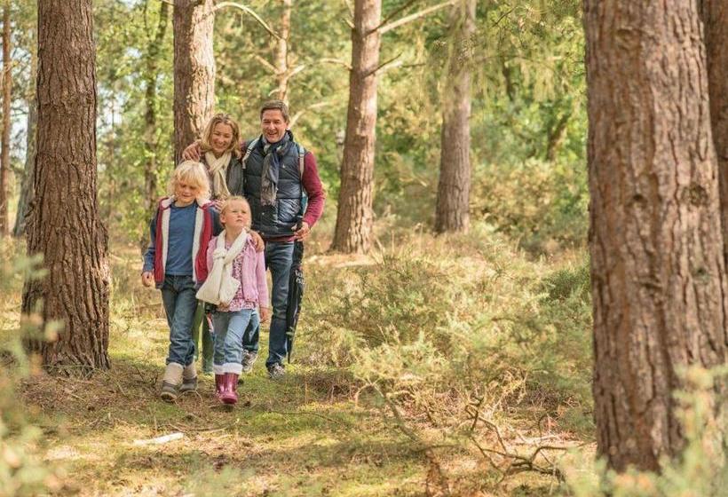 Курорт Tilford Woods Lodge Retreat