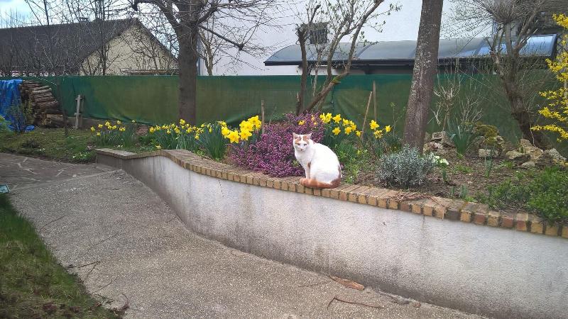 住宿加早餐  Chambre Dans Une Maison Pleine De Vie