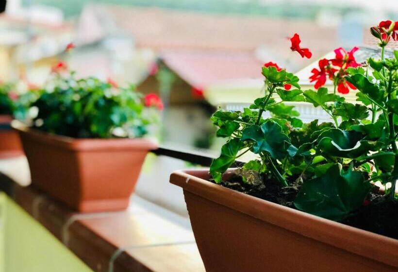 مبيت وإفطار Il Terrazzino Iglesias