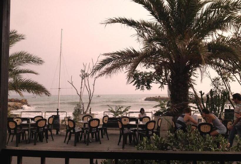 住宿加早餐  La Terrazza Sul Mar Mediterraneo