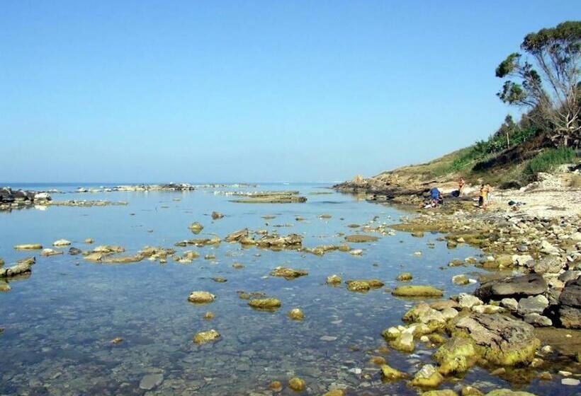 Bed and Breakfast La Terrazza Sul Mar Mediterraneo