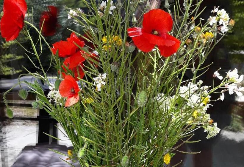 مبيت وإفطار Mas La Pomarede