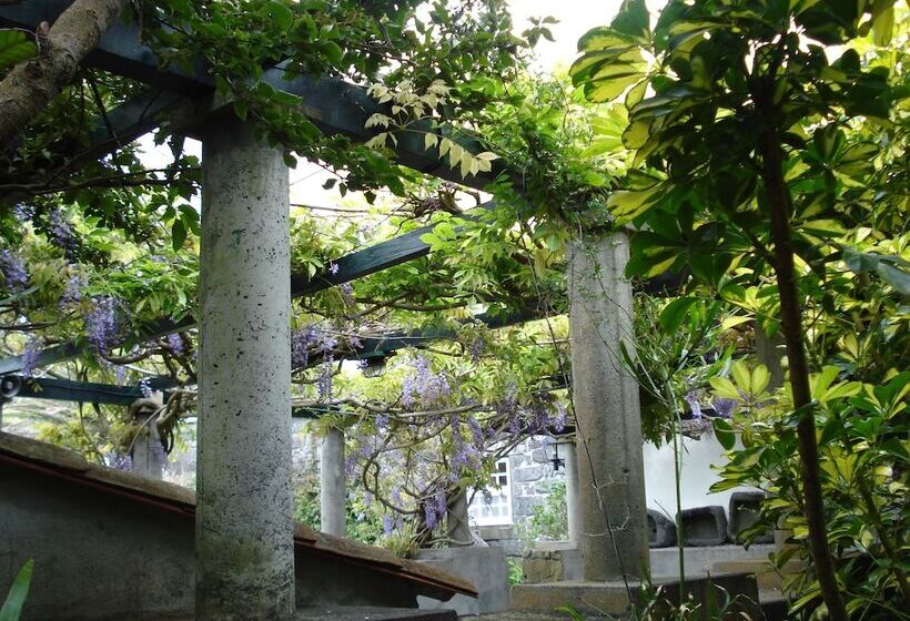 تختخواب و صبحانه Quinta Das Buganvílias