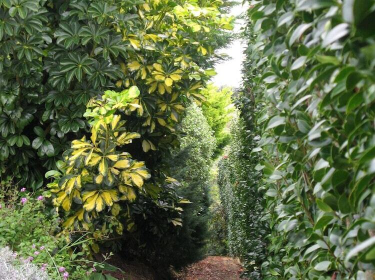 تختخواب و صبحانه Quinta Das Buganvílias