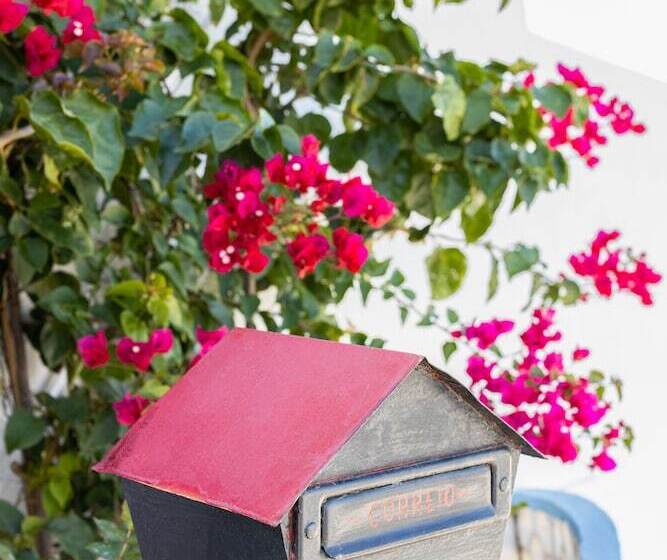 Carvoeira Surf & Family Villa