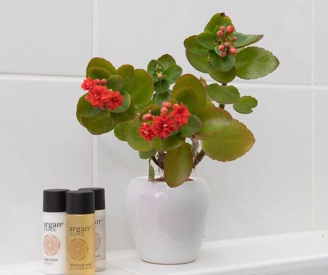 Cute And Sunny Studio In Zagreb With Balcony & Free Parking