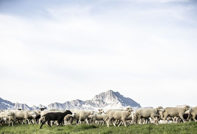 בית מלון כפרי Cresta