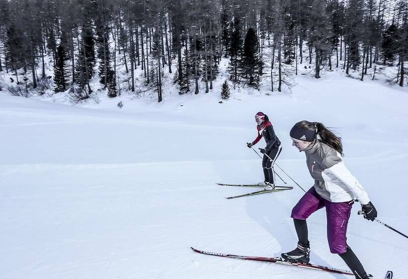 בית מלון כפרי Cresta