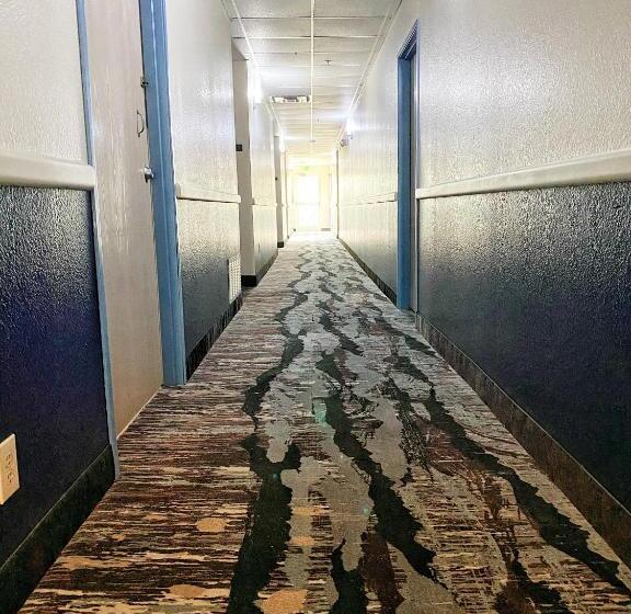 فندق Lone Star Inn